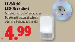 Lidl Livarno led nachtlicht Angebot