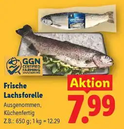 Lidl Frische lachsforelle Angebot