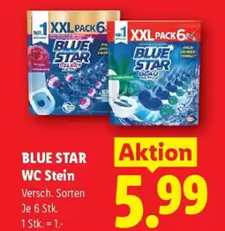 Lidl Blue star wc stein Angebot