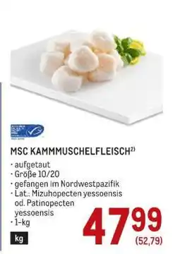 Metro MSC KAMMMUSCHELFLEISCH Angebot