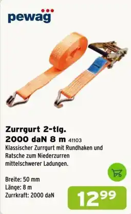 Salzburger Lagerhaus pewag ZurrGurt 2-tlg. Angebot