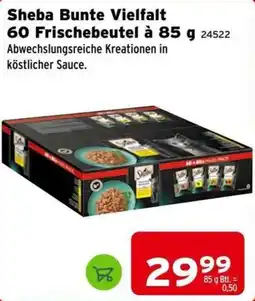 Salzburger Lagerhaus Sheba Bunte Vielfalt Angebot