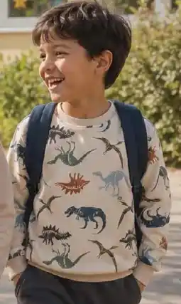 KiK Sweatshirt mit Dinos Angebot