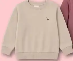 KiK Sweatshirt mit Dino-Stickerei Angebot