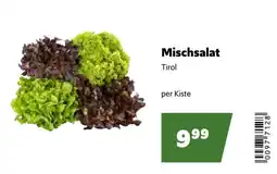 Eurogast Grissemann Mischsalat Tirol Angebot