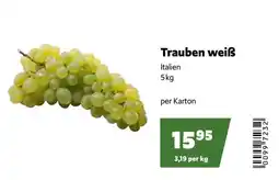 Eurogast Grissemann Trauben weiß Angebot