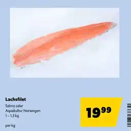 Eurogast Grissemann Lachsfilet Angebot