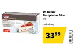 Eurogast Grissemann Dr. Oetker Blattgelatine Silber Angebot