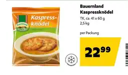Eurogast Grissemann Bauernland Kaspressknödel Angebot