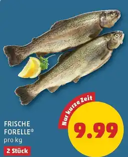 PENNY Frische forelle Angebot