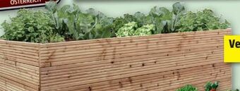 Bauhaus Hochbeet Angebot