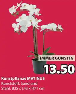 JYSK Kunstpflanze matinus Angebot