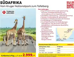 Billa Reisen Südafrika Vom Kruger Nationalpark zum Tafelberg Angebot