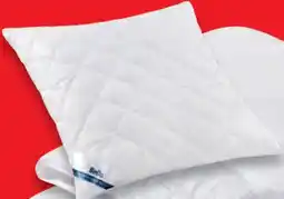 Matratzen Concord Polster gesteppt Angebot