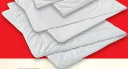 Matratzen Concord Mono-Steppbett Kamelhaar Angebot