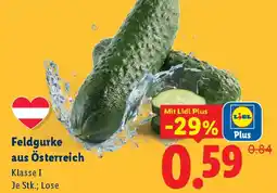 Lidl Feldgurke aus Österreich Klasse I Angebot