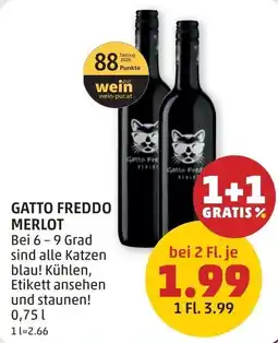 PENNY Gatto Freddo Merlot Angebot