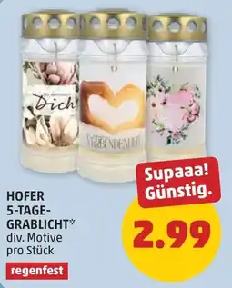 PENNY HOFER 5-TAGE-GRABLICHT* Angebot