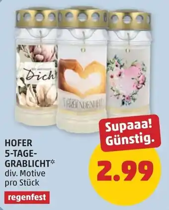PENNY HOFER 5-TAGE-GRABLICHT* Angebot