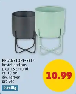 PENNY Pflanztopf-Set Angebot