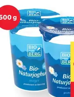 MPreis Bio vom Berg Tiroler Naturjoghurt Angebot