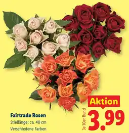 Lidl Fairtrade Rosen Angebot