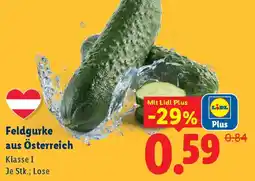 Lidl Feldgurke Österreich Klasse I Angebot