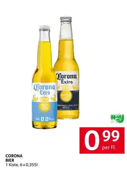 Transgourmet Corona Bier Angebot