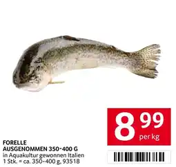 Transgourmet Forelle Angebot