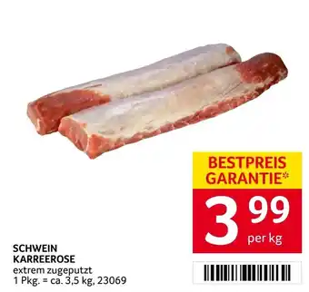 Schwein Karreerose