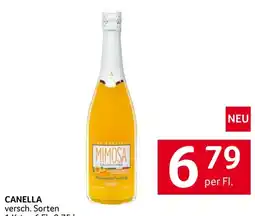 Transgourmet Mimosa Angebot
