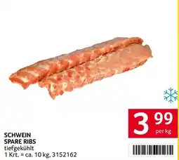 Transgourmet Schwein Spare Ribs Angebot