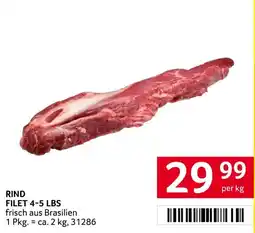 Transgourmet Rind Filet Angebot