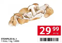 Transgourmet Steinpilze Kl.1 Angebot