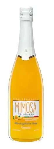 Transgourmet Canella Mimosa Angebot