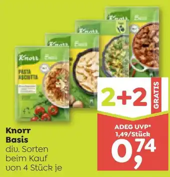 Knorr Basis