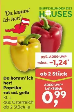 ADEG Paprika rot od. gelb Angebot