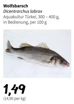 Der Grissemann Wolfsbarsch Angebot