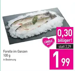 Sutterlüty Forelle im Ganzen Angebot