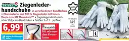 Norma Ziegenleder handschuhe Angebot