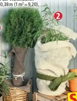 Norma Schafwoll vliesdecke Angebot