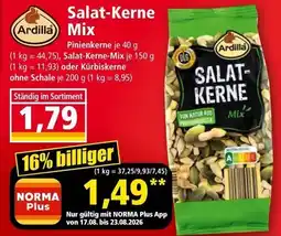 Norma Salat kerne mix Angebot