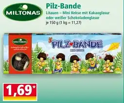 Norma Pilz Bande Angebot