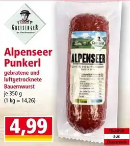 Norma Alpenseer punkerl Angebot