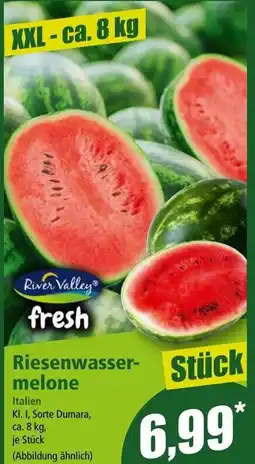 Norma Riesenwasser melone Angebot