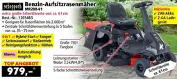Norma Benzin aufsitzrasenmäher Angebot