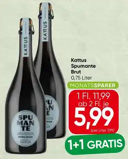 Spar Kattus Spumante Brut Angebot