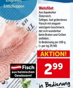 Interspar Welsfilet Angebot