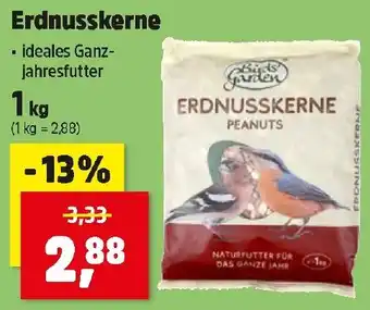 Birds Garden Erdnusskerne