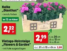 Thomas Philipps Vintage-Holzsteige „Flowers & Garden“ Angebot